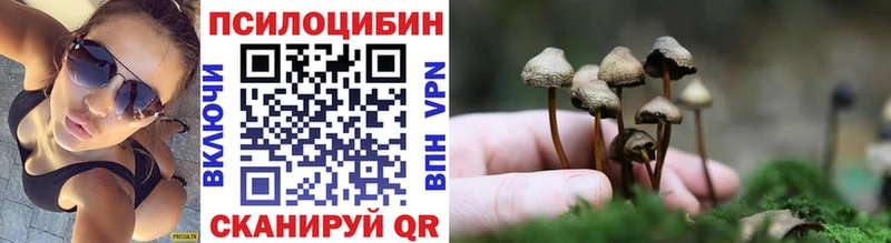 Галлюциногенные грибы мухоморы  Облучье 